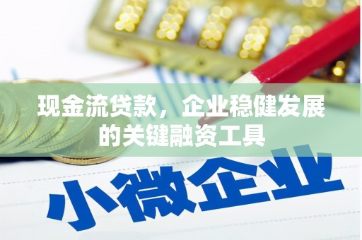 迪庆现金流贷款，企业稳健发展的关键融资工具