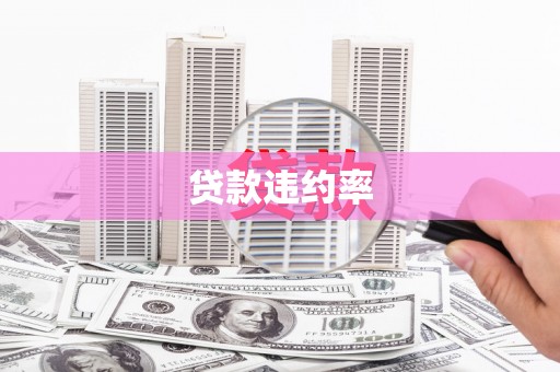 迪庆贷款违约率