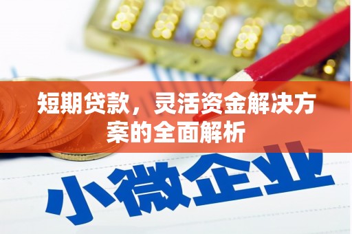 迪庆短期贷款，灵活资金解决方案的全面解析