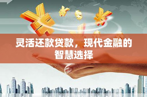 迪庆灵活还款贷款，现代金融的智慧选择