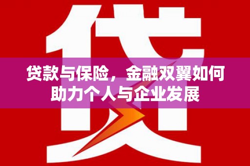 迪庆贷款与保险，金融双翼如何助力个人与企业发展