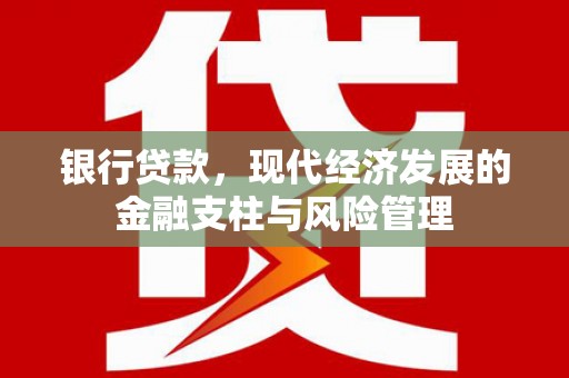 迪庆银行贷款，现代经济发展的金融支柱与风险管理