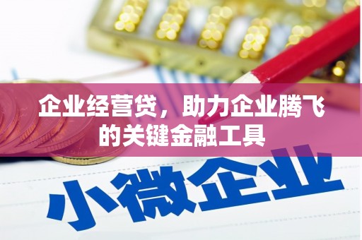 迪庆企业经营贷，助力企业腾飞的关键金融工具