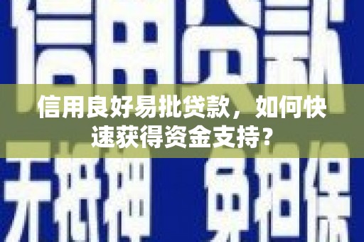 迪庆信用良好易批贷款，如何快速获得资金支持？