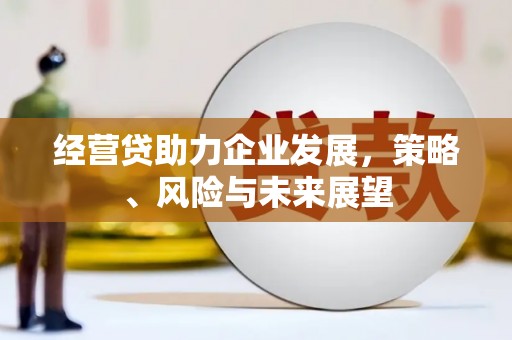 迪庆经营贷助力企业发展，策略、风险与未来展望