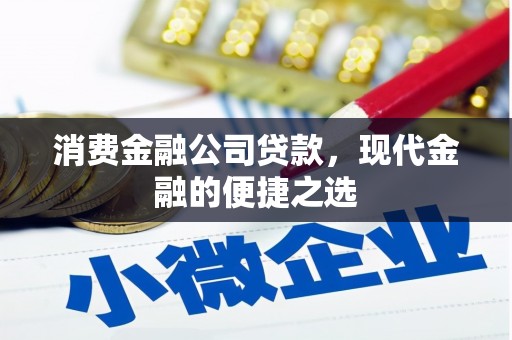 迪庆消费金融公司贷款，现代金融的便捷之选