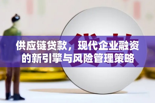 迪庆供应链贷款，现代企业融资的新引擎与风险管理策略