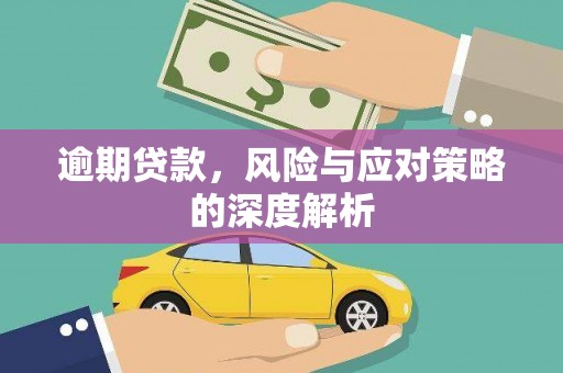 迪庆逾期贷款，风险与应对策略的深度解析