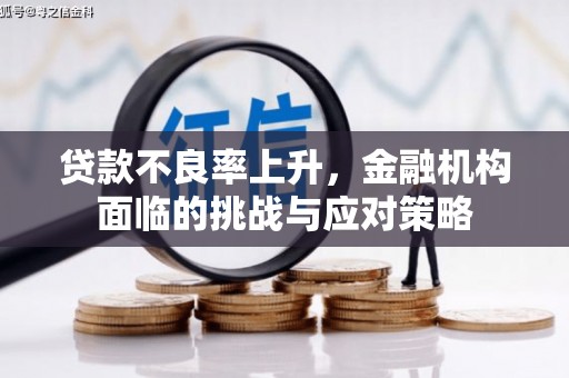 迪庆贷款不良率上升，金融机构面临的挑战与应对策略