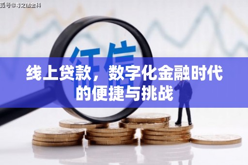 迪庆线上贷款，数字化金融时代的便捷与挑战