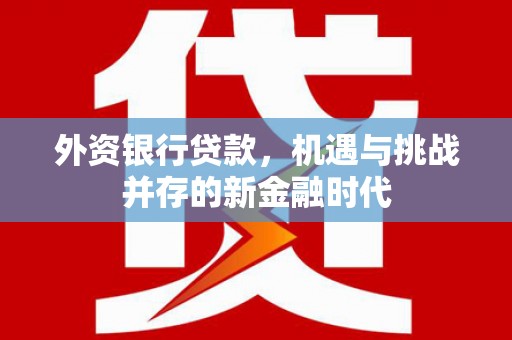迪庆外资银行贷款，机遇与挑战并存的新金融时代