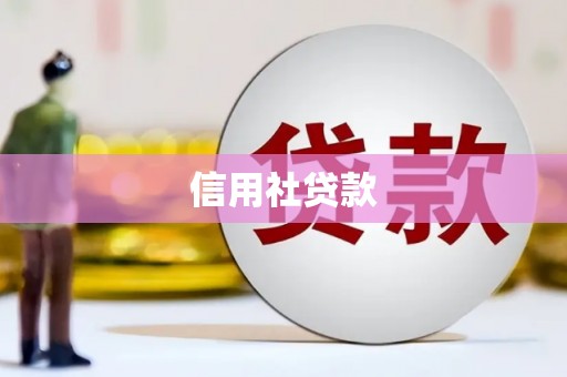 迪庆信用社贷款