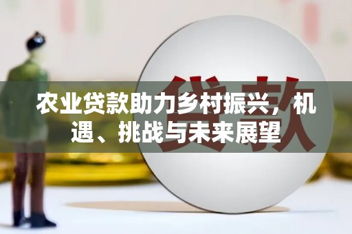 迪庆农业贷款助力乡村振兴，机遇、挑战与未来展望
