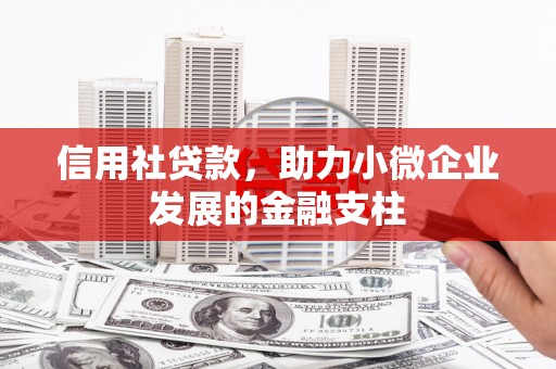 迪庆信用社贷款，助力小微企业发展的金融支柱