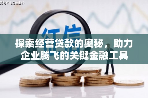 迪庆探索经营贷款的奥秘，助力企业腾飞的关键金融工具