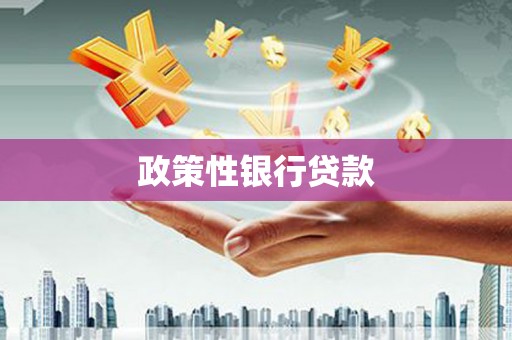 迪庆政策性银行贷款