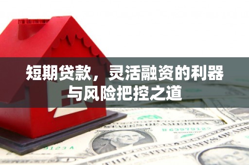 迪庆短期贷款，灵活融资的利器与风险把控之道