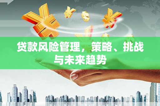 迪庆贷款风险管理，策略、挑战与未来趋势