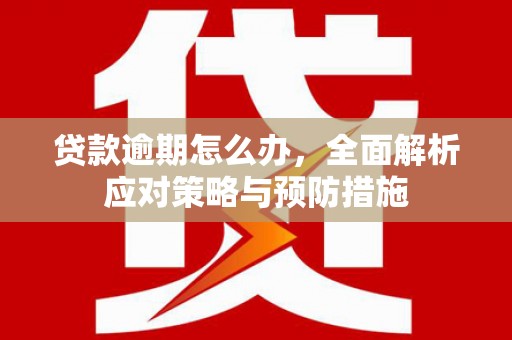 迪庆贷款逾期怎么办，全面解析应对策略与预防措施