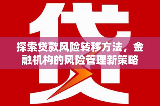 迪庆探索贷款风险转移方法，金融机构的风险管理新策略