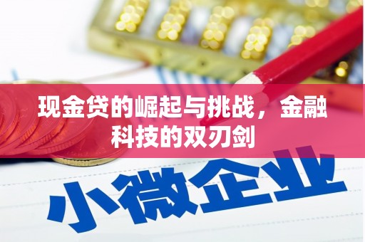 迪庆现金贷的崛起与挑战，金融科技的双刃剑