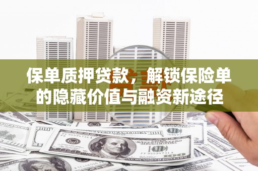 迪庆保单质押贷款，解锁保险单的隐藏价值与融资新途径