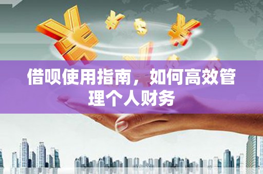 迪庆借呗使用指南，如何高效管理个人财务