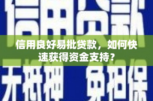 迪庆信用良好易批贷款，如何快速获得资金支持？