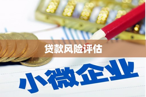 迪庆贷款风险评估