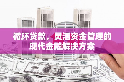 迪庆循环贷款，灵活资金管理的现代金融解决方案