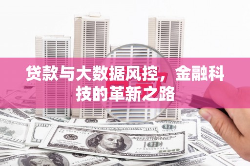 迪庆贷款与大数据风控，金融科技的革新之路