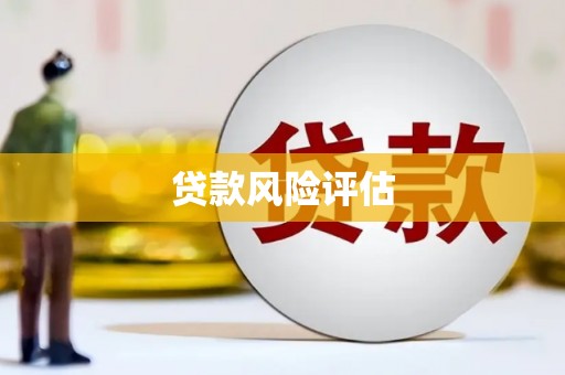 迪庆贷款风险评估