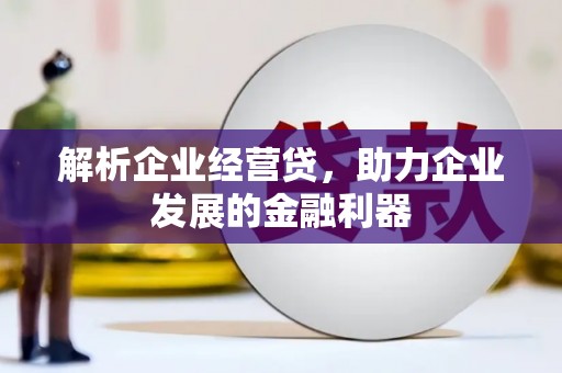 迪庆解析企业经营贷，助力企业发展的金融利器