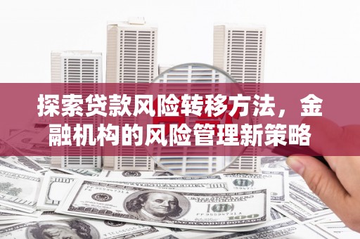迪庆探索贷款风险转移方法，金融机构的风险管理新策略