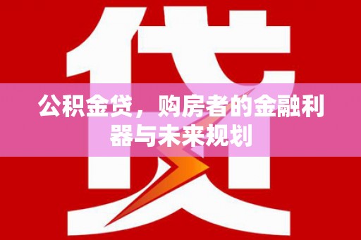 迪庆公积金贷，购房者的金融利器与未来规划