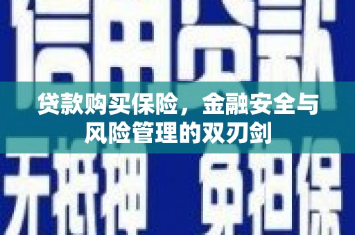 迪庆贷款购买保险，金融安全与风险管理的双刃剑