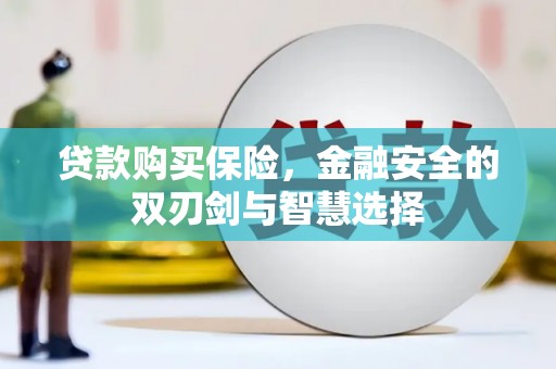迪庆贷款购买保险，金融安全的双刃剑与智慧选择