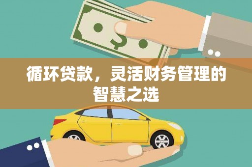 迪庆循环贷款，灵活财务管理的智慧之选