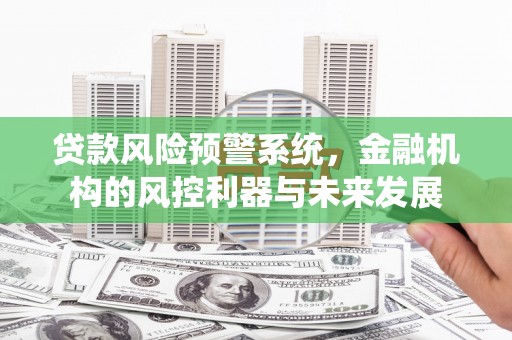 迪庆贷款风险预警系统，金融机构的风控利器与未来发展