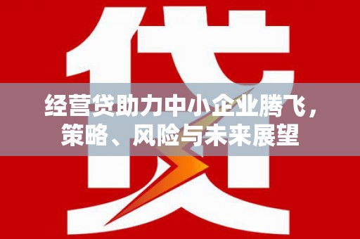 迪庆经营贷助力中小企业腾飞，策略、风险与未来展望