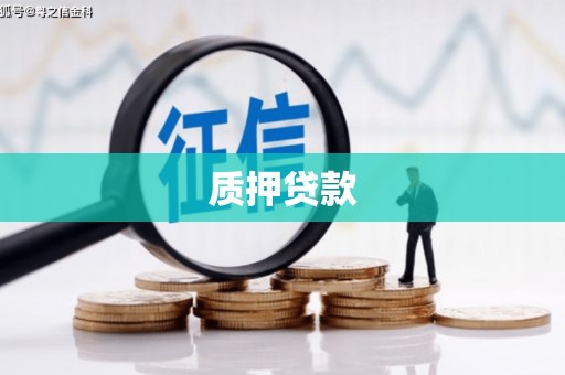 迪庆质押贷款
