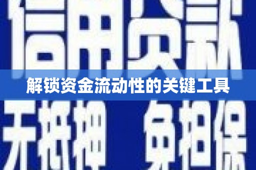 迪庆解锁资金流动性的关键工具