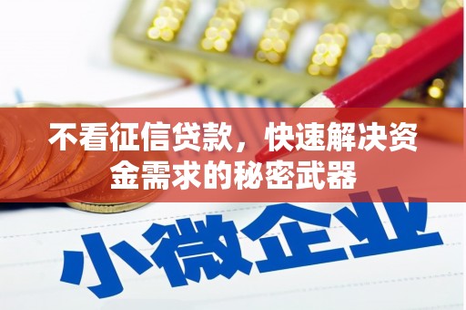 迪庆不看征信贷款，快速解决资金需求的秘密武器