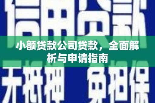 迪庆小额贷款公司贷款，全面解析与申请指南