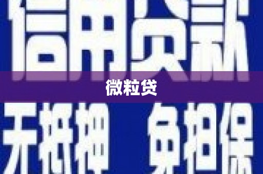 迪庆微粒贷