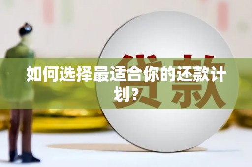 迪庆如何选择最适合你的还款计划？
