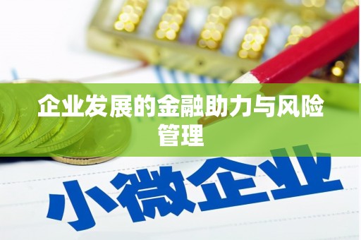 迪庆企业发展的金融助力与风险管理