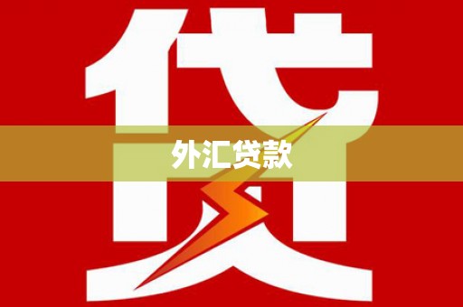 迪庆外汇贷款
