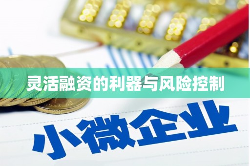 迪庆灵活融资的利器与风险控制