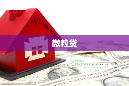 迪庆微粒贷